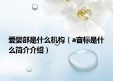 愛嬰部是什么機構(gòu)（a音標是什么簡介介紹）