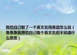 我給自己取了一個(gè)英文名用英語(yǔ)怎么說（急急急我想給自己取個(gè)英文名但不知道什么意思）