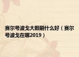 賽爾號波戈大膽刷什么好（賽爾號波戈在哪2019）