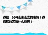 微信一只雞走來走去的表情（微信雞的表情什么意思）