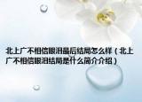 北上廣不相信眼淚最后結(jié)局怎么樣（北上廣不相信眼淚結(jié)局是什么簡(jiǎn)介介紹）