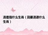 清是指什么生肖（簡要清通什么生肖）