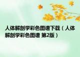人體解剖學彩色圖譜下載（人體解剖學彩色圖譜 第2版）