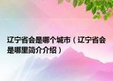 遼寧省會(huì)是哪個(gè)城市（遼寧省會(huì)是哪里簡(jiǎn)介介紹）