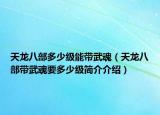 天龍八部多少級能帶武魂（天龍八部帶武魂要多少級簡介介紹）