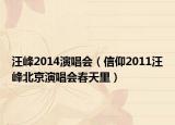 汪峰2014演唱會(huì)（信仰2011汪峰北京演唱會(huì)春天里）