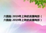 六胞胎 2019年上映的美國電影（六胞胎 2019年上映的美國電影）
