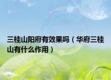 三桂山陽府有效果嗎（華府三桂山有什么作用）