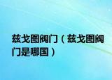 茲戈圖閥門（茲戈圖閥門是哪國）