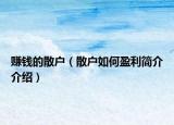 賺錢的散戶（散戶如何盈利簡介介紹）