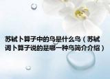 蘇軾卜算子中的鳥是什么鳥（蘇軾詞卜算子說的是哪一種鳥簡介介紹）