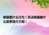 吸貓是什么行為（非法吸貓是什么意思簡(jiǎn)介介紹）