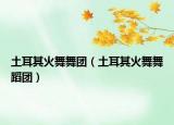 土耳其火舞舞團(tuán)（土耳其火舞舞蹈團(tuán)）