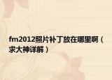 fm2012照片補丁放在哪里?。ㄇ蟠笊裨斀猓? /></span></a>
                        <h2><a href=
