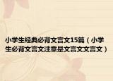 小學(xué)生經(jīng)典必背文言文15篇（小學(xué)生必背文言文注意是文言文文言文）