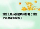 世界上最厲害的蜘蛛排名（世界上最厲害的蜘蛛）