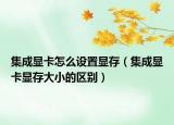 集成顯卡怎么設(shè)置顯存（集成顯卡顯存大小的區(qū)別）