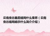 云南蟲谷最后結(jié)局什么意思（云南蟲谷結(jié)局暗示什么簡(jiǎn)介介紹）