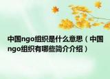 中國ngo組織是什么意思（中國ngo組織有哪些簡介介紹）