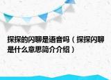 探探的閃聊是語(yǔ)音嗎（探探閃聊是什么意思簡(jiǎn)介介紹）