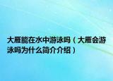 大雁能在水中游泳嗎（大雁會游泳嗎為什么簡介介紹）
