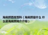 海底撈百度百科（海底撈是什么 什么是海底撈簡(jiǎn)介介紹）