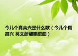 今兒個(gè)真高興是什么歌（今兒個(gè)真高興 莫文蔚翻唱歌曲）