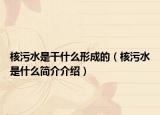 核污水是干什么形成的（核污水是什么簡介介紹）