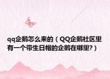 qq企鵝怎么來(lái)的（QQ企鵝社區(qū)里有一個(gè)帶生日帽的企鵝在哪里?）