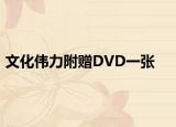 文化偉力附贈(zèng)DVD一張