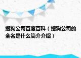 搜狗公司百度百科（搜狗公司的全名是什么簡介介紹）