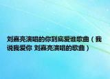 劉嘉亮演唱的你到底愛誰歌曲（我說我愛你 劉嘉亮演唱的歌曲）