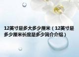 12英寸是多大多少厘米（12英寸是多少厘米長(zhǎng)度是多少簡(jiǎn)介介紹）