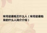 羋月是秦始王什么人（羋月是秦始皇的什么人簡介介紹）