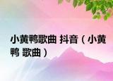 小黃鴨歌曲 抖音（小黃鴨 歌曲）
