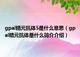 gpal精元抗體5是什么意思（gpal精元抗體是什么簡(jiǎn)介介紹）