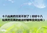 十八仙黃藥膏買(mǎi)不到了（你好十八仙黃藥膏真的能治好腰椎盤(pán)突出嗎）