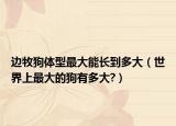 邊牧狗體型最大能長到多大（世界上最大的狗有多大?）