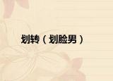 劃轉(zhuǎn)（劃臉男）
