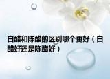 白醋和陳醋的區(qū)別哪個更好（白醋好還是陳醋好）