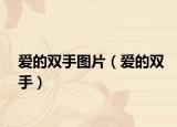 愛的雙手圖片（愛的雙手）
