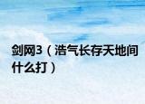 劍網(wǎng)3（浩氣長(zhǎng)存天地間什么打）