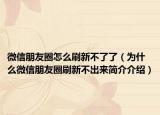 微信朋友圈怎么刷新不了了（為什么微信朋友圈刷新不出來(lái)簡(jiǎn)介介紹）