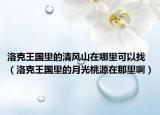 洛克王國里的清風(fēng)山在哪里可以找（洛克王國里的月光桃源在那里?。? /></span></a>
                        <h2><a href=