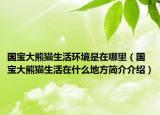 國寶大熊貓生活環(huán)境是在哪里（國寶大熊貓生活在什么地方簡(jiǎn)介介紹）
