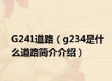 G241道路（g234是什么道路簡(jiǎn)介介紹）