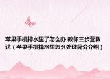 蘋果手機掉水里了怎么辦 教你三步營救法（蘋果手機掉水里怎么處理簡介介紹）