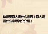 動(dòng)漫里同人是什么意思（同人漫畫(huà)什么意思簡(jiǎn)介介紹）