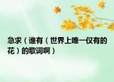 急求（誰有（世界上唯一僅有的花）的歌詞?。? /></span></a>
                        <h2><a href=