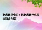 老虎是昆蟲嗎（地老虎是什么昆蟲簡介介紹）